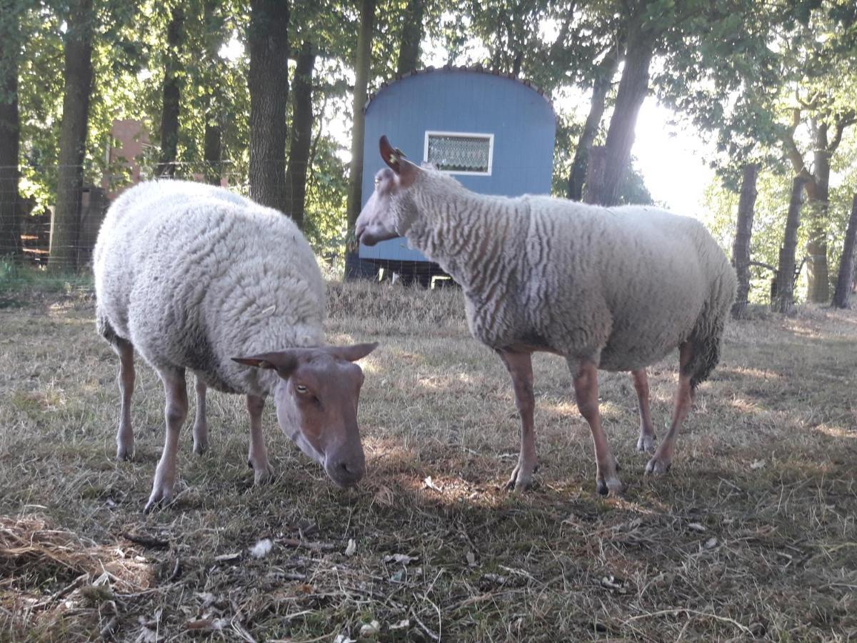Ferienwohnung 1 Bauernhof Von Eden Surwold Bagian luar foto